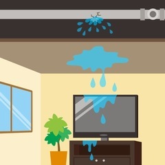 大至急‼️ 雨漏れ110番‼️ - 野洲市