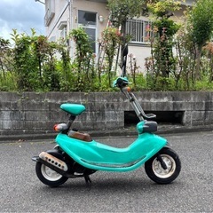 ホンダ　ズーク　zook  希少　オリジナル　珍しい一台の画像