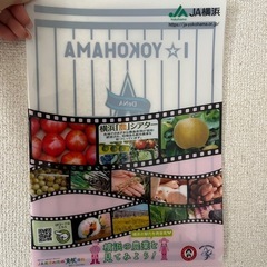 横浜ベイスターズ　クリアファイル　JA 横浜スタジアム　100円の画像