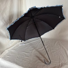 サロンドプロ　晴雨兼用傘の画像
