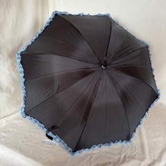 サロンドプロ　晴雨兼用傘の画像