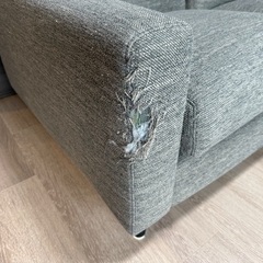 ニトリ　ソファの画像