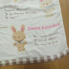 キッズタオルケットの画像