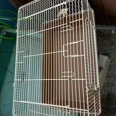 ハリネズミ飼育ケージ　セット
の画像