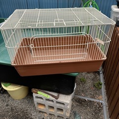 ハリネズミ飼育ケージ　セット
