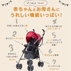 軽量・バギーの画像