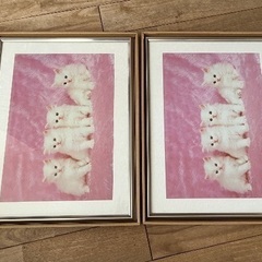 フレームおまとめの画像