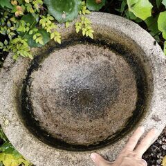 石鉢・直径約50cm（お取引中）の画像