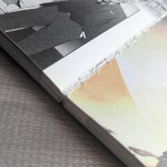 囀る鳥は羽ばたかない1〜9巻の画像