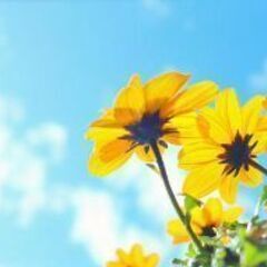 🌱ライン🍊カカオ🌻ジモティーメールでお友達になりませんか🙋