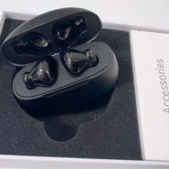 充電式【イヤホン型 集音器】の画像