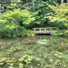 21（土）に人狼できる人ー⭐️