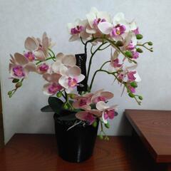 お話中　造花