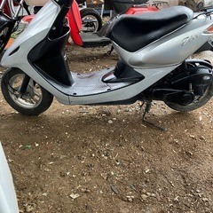 ‼️早い方優先ライブDio AF56-1314120 4ストネタ...