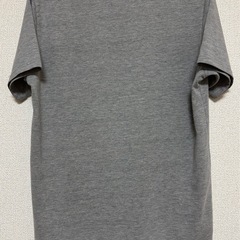 レディースTシャツの画像
