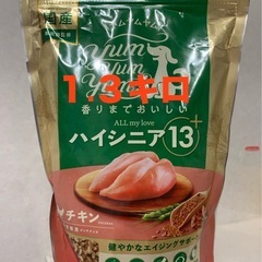 未開封 新品　ドッグフード ハイシニア ヤムヤムヤム　Yum Yum Yum! 　チキン 1.3kg 老犬の画像