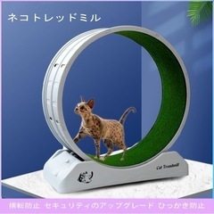 【美品】キャットホイールの画像
