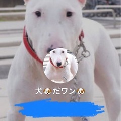 全国の雑談グループの募集致しております