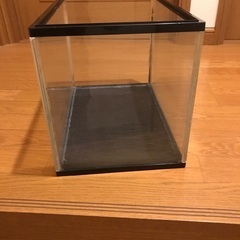 水槽の画像