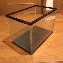 水槽の画像