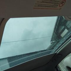 シトロン　c4の画像