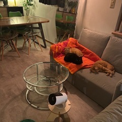 オシャレなガラステーブルの画像