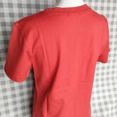 鮮やかな赤いＴシャツ 半袖の画像