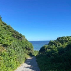 🤿シュノーケリング一緒に行ってくれる人募集🤿