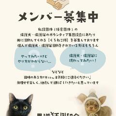 興味のある方は是非‼️