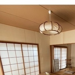 ミサワホーム天井材　無料　合計29畳分あります　近江八幡にて引き渡しの画像