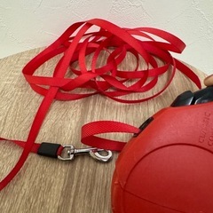 伸縮リード小型犬用　flexiの画像