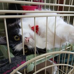 同世代の知り合い募集中