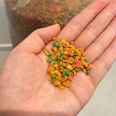 オカメインコ 餌  ご飯の画像
