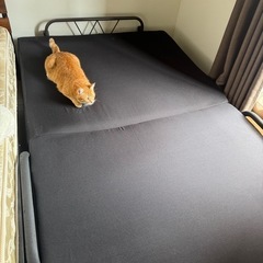 埼玉県 さいたま市の折りたたみベッドの中古が安い！激安で譲り