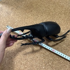 ヘラクレス フィギュアの画像