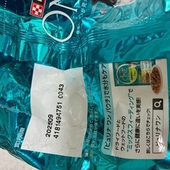 ねこのごはんの画像