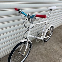 ラレー ミニベロ 20インチ✩.*˚