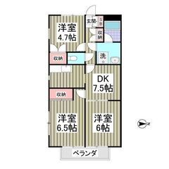KS🌸敷金ゼロ🌟礼金ゼロ🌟仲介手数料ゼロ🌟大人気の角部屋♬コンビ...