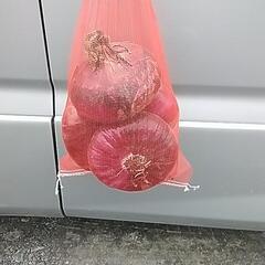 紫新玉ねぎ