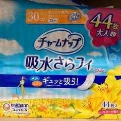 受付中(女性限定)吸水ナプキン 30cc