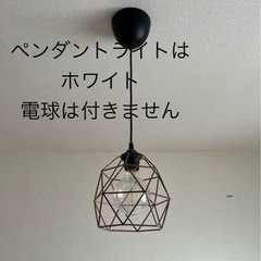 IKEA HEMMA ヘマ ペンダントライト ホワイトの画像