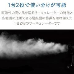 値下げアピックスサーキュレーター扇風機の画像