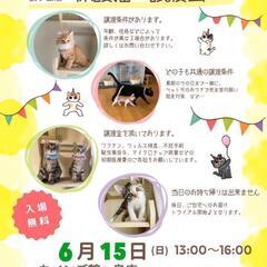保護猫譲渡会♡カインズ鶴ヶ島店