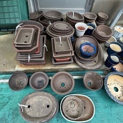  植木鉢　盆栽鉢　いろいろ　1鉢どれでも30円！