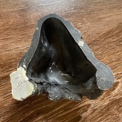 アクアリウム オブジェ 2 隠れ家の画像