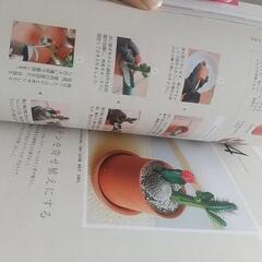 多肉植物の画像