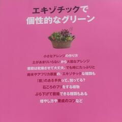 多肉植物の画像