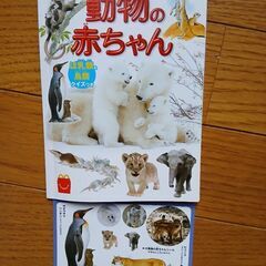 [美品✨]絵本４冊＋おまけ追加あり4点の画像