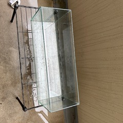 水槽６０cmの画像