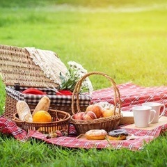 休日ピクニック🧺🍎
